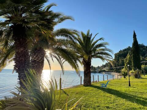 Seafront Family Apartment Ellie Skala Fourkas Bagian luar foto